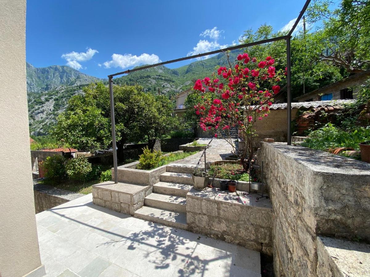 Apartments Mezini 11 Kotor Eksteriør bilde